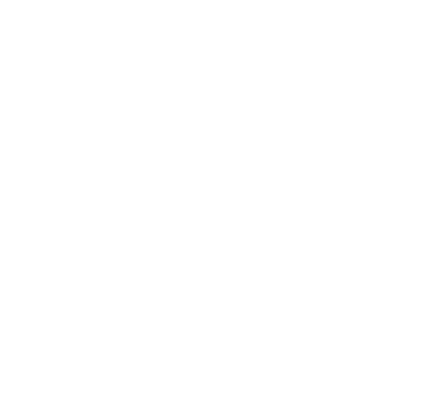 Motorsport Ireland Rally Academy