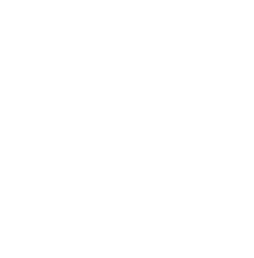 VIK